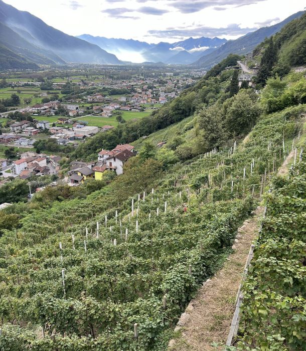 la manescia vista sulla valetellina